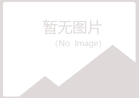 桃山区离开音乐有限公司